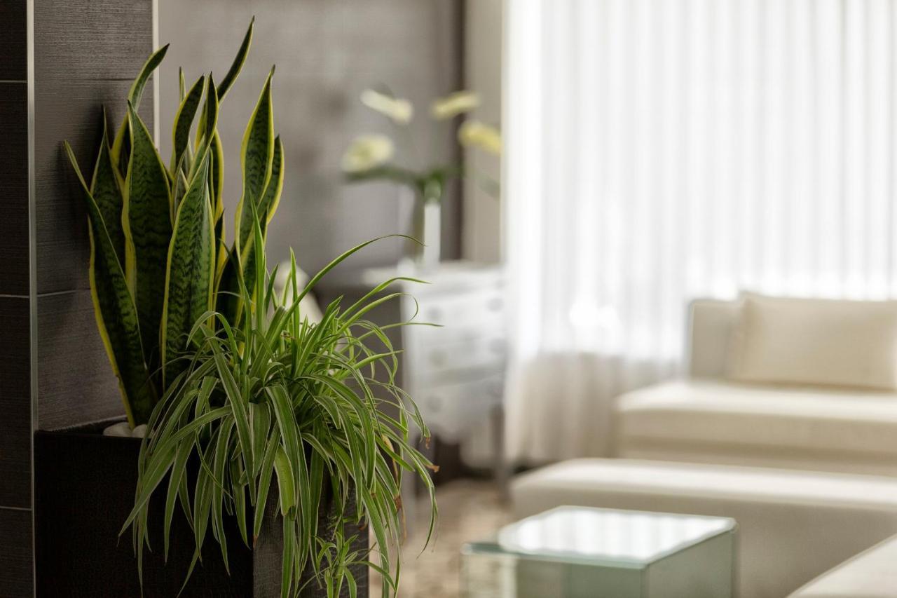Hotel Bremen Rimini Zewnętrze zdjęcie